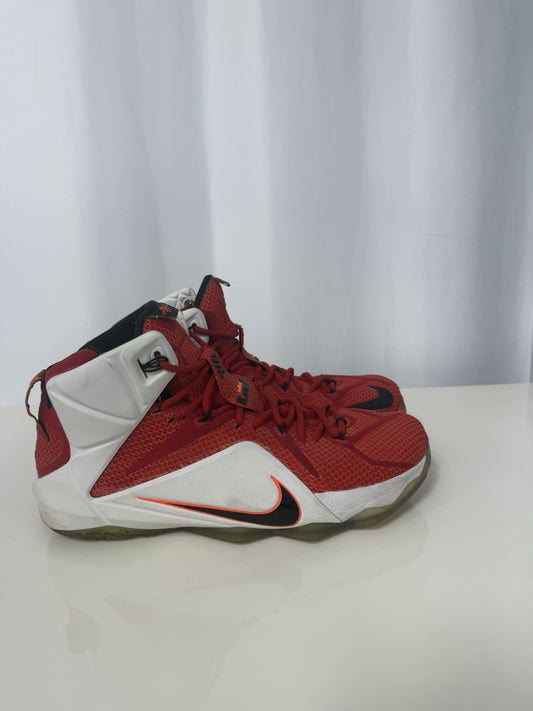 Nike Lebron 12 Heart Of A Lion Size 12