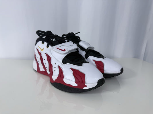 Nike LeBron 21 SP DT Diamond Turf
